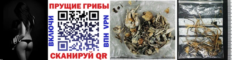 Псилоцибиновые грибы Psilocybe  закладки  Новодвинск 