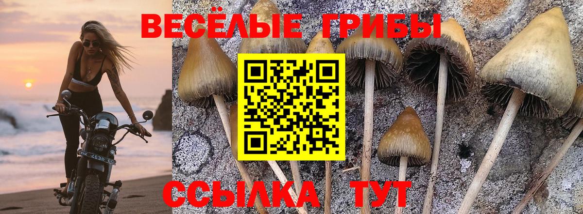  Кокаин Новодвинск