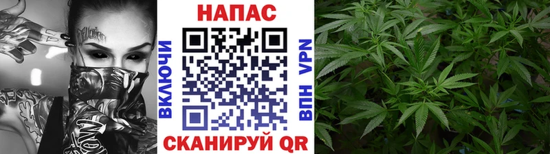 хочу   ОМГ ОМГ как войти  дарк нет Telegram  Новодвинск  Канабис сатива 