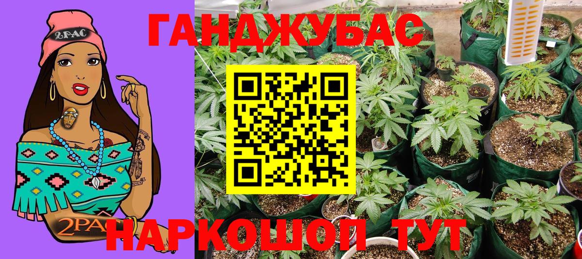 Канабис ГИДРОПОН  Вход с VPN  Новодвинск  Конопля сатива  Шишки марихуана марихуана 